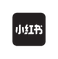 TikTok icon
